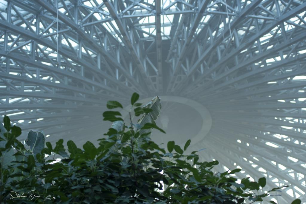 Dome ( 5 Février 2020 )