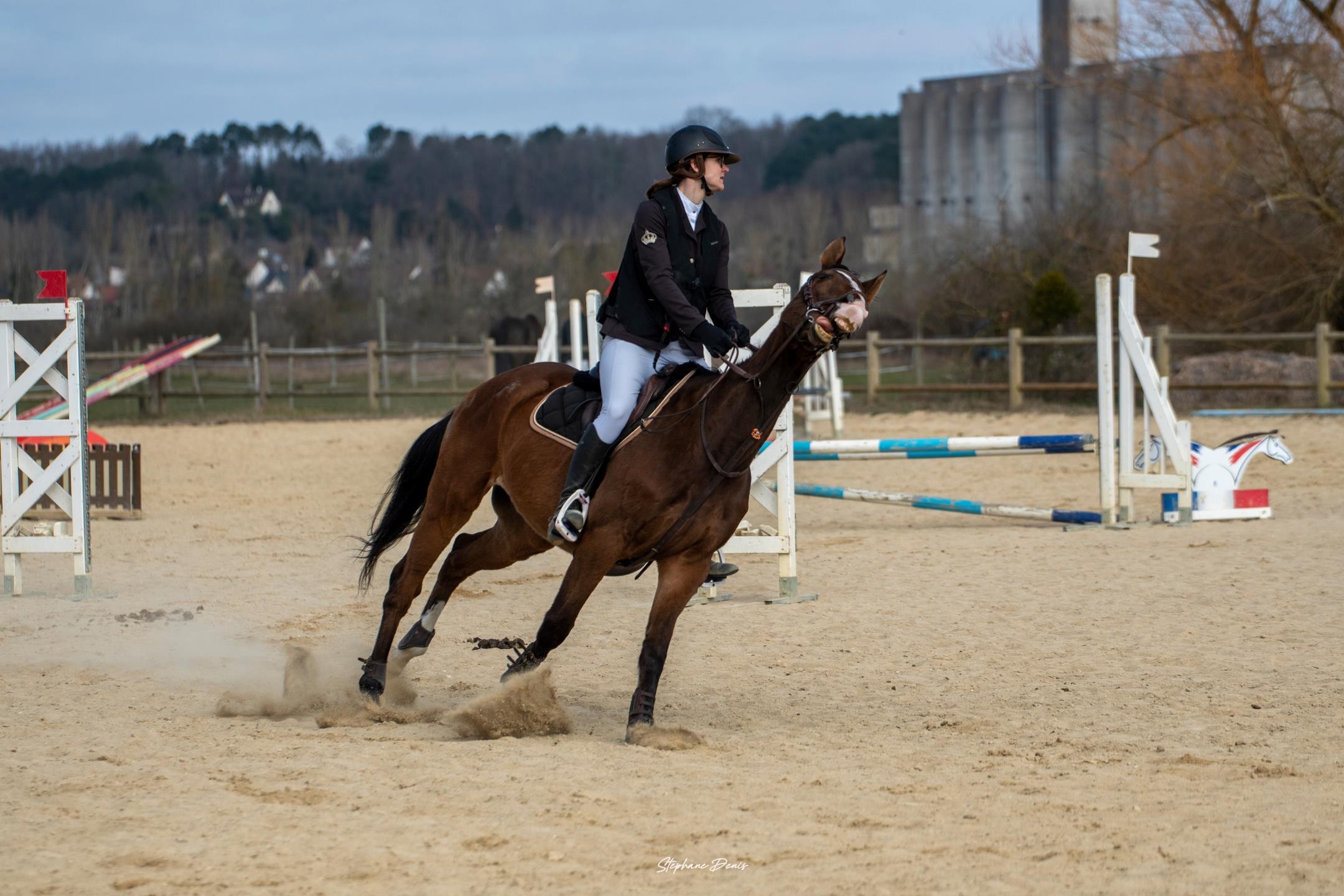 Compétitions de Cso 2023