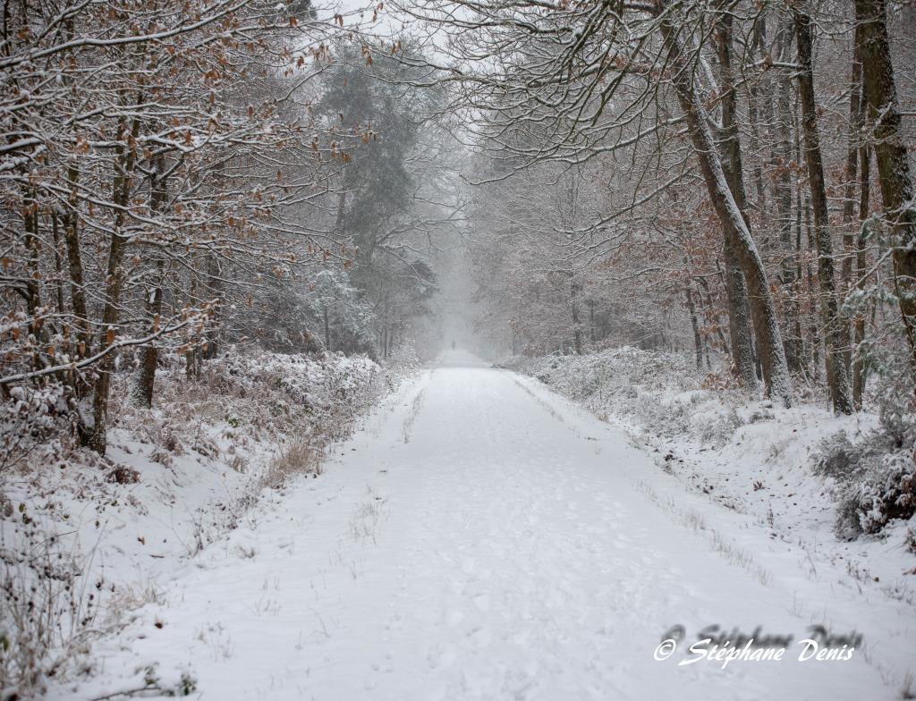 Neige
