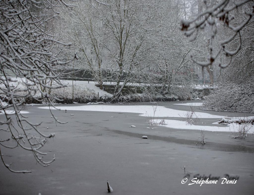 Neige