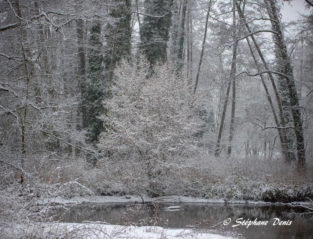 Neige