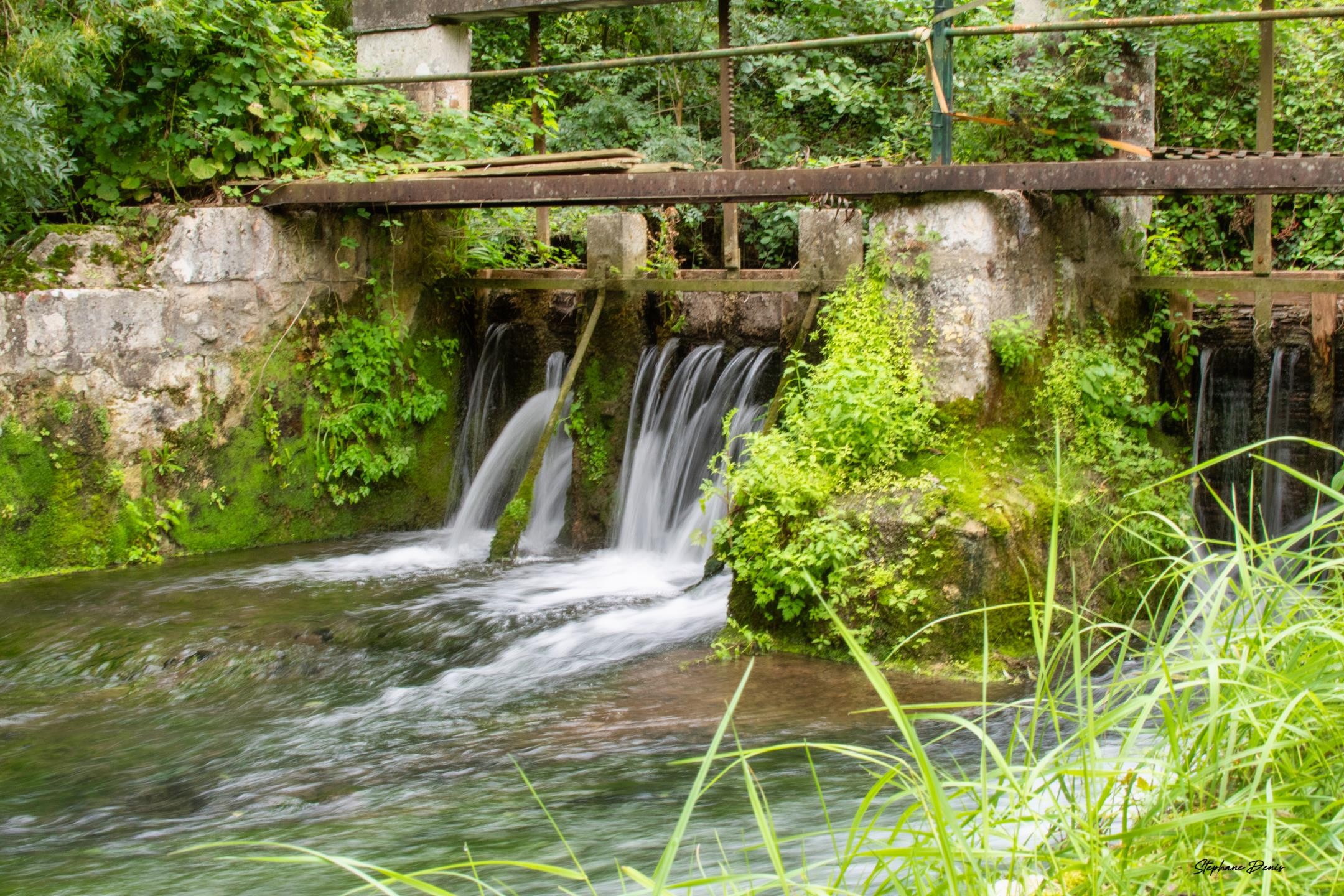 Le Moulin & L olivier 