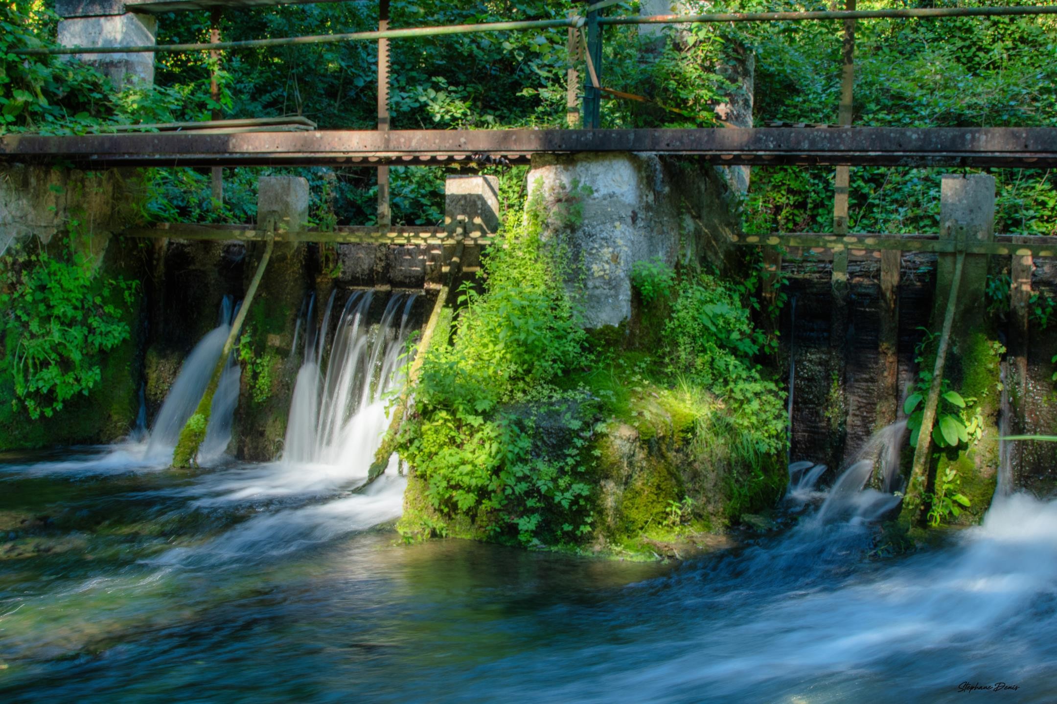 Le Moulin & L olivier 