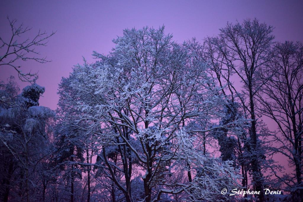 Neige