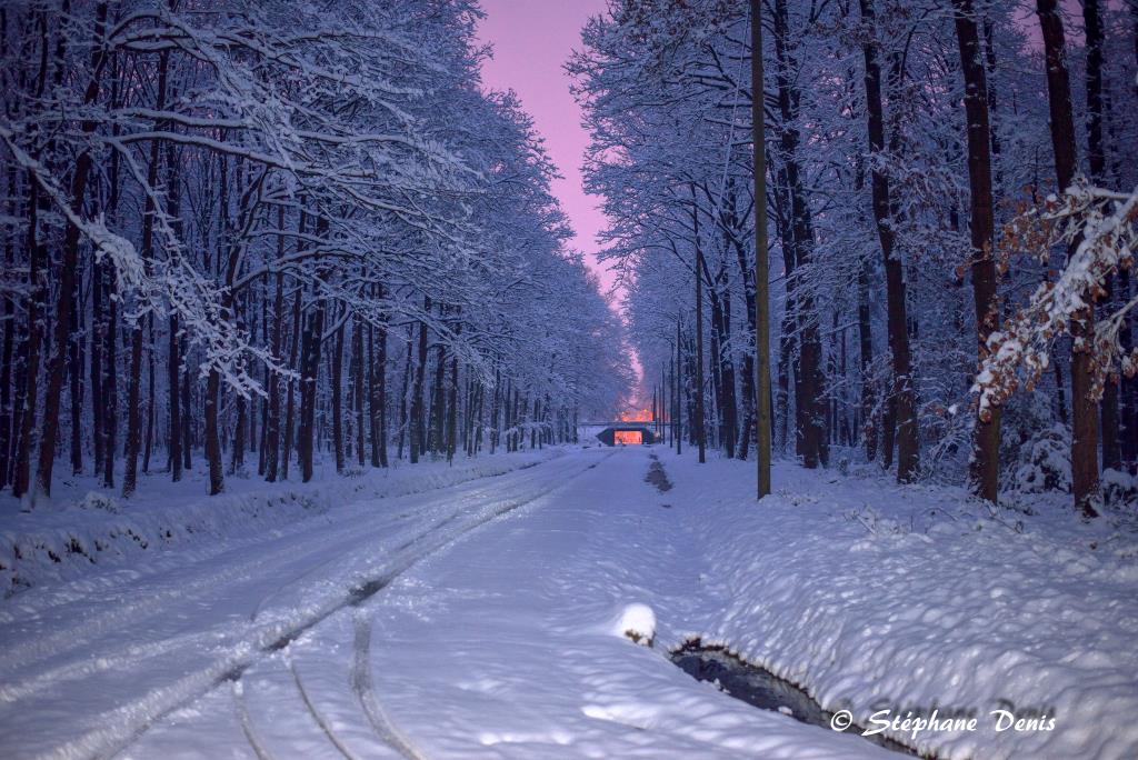 Neige
