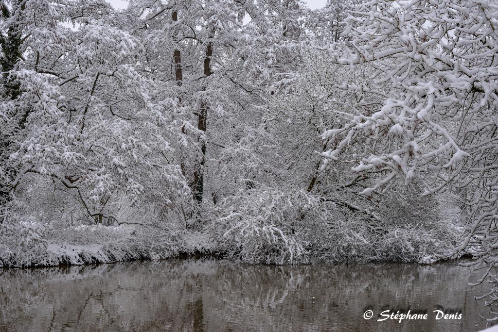 Neige