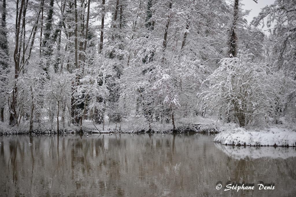 Neige