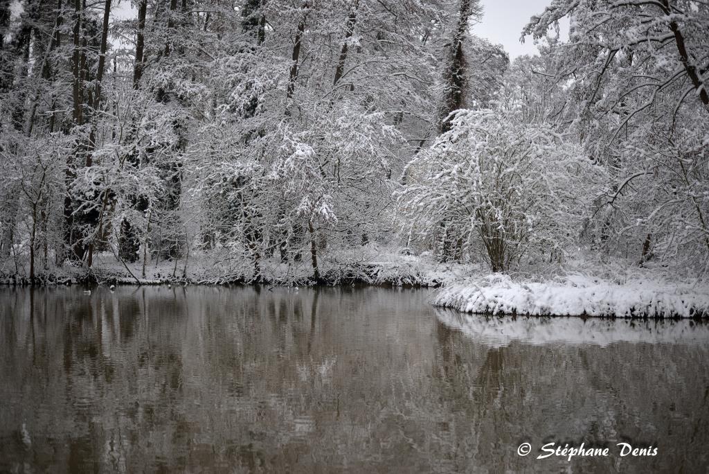 Neige