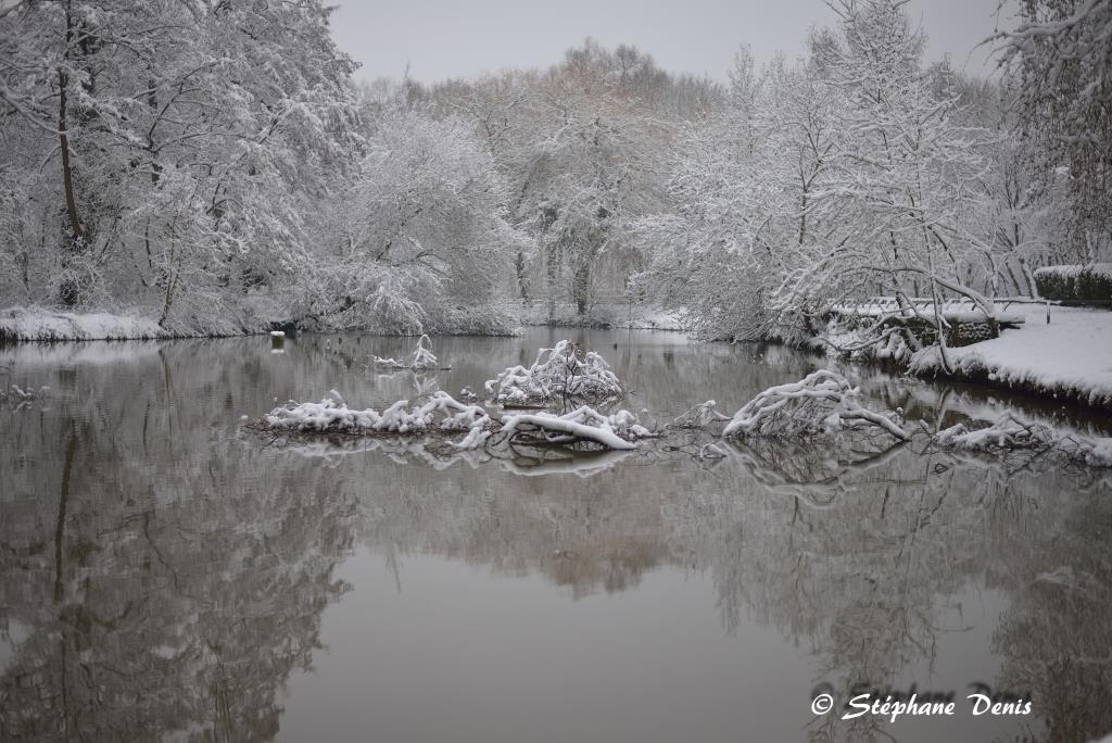 Neige