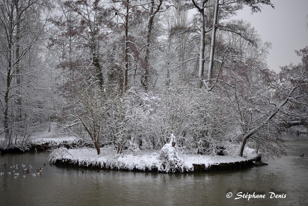 Neige
