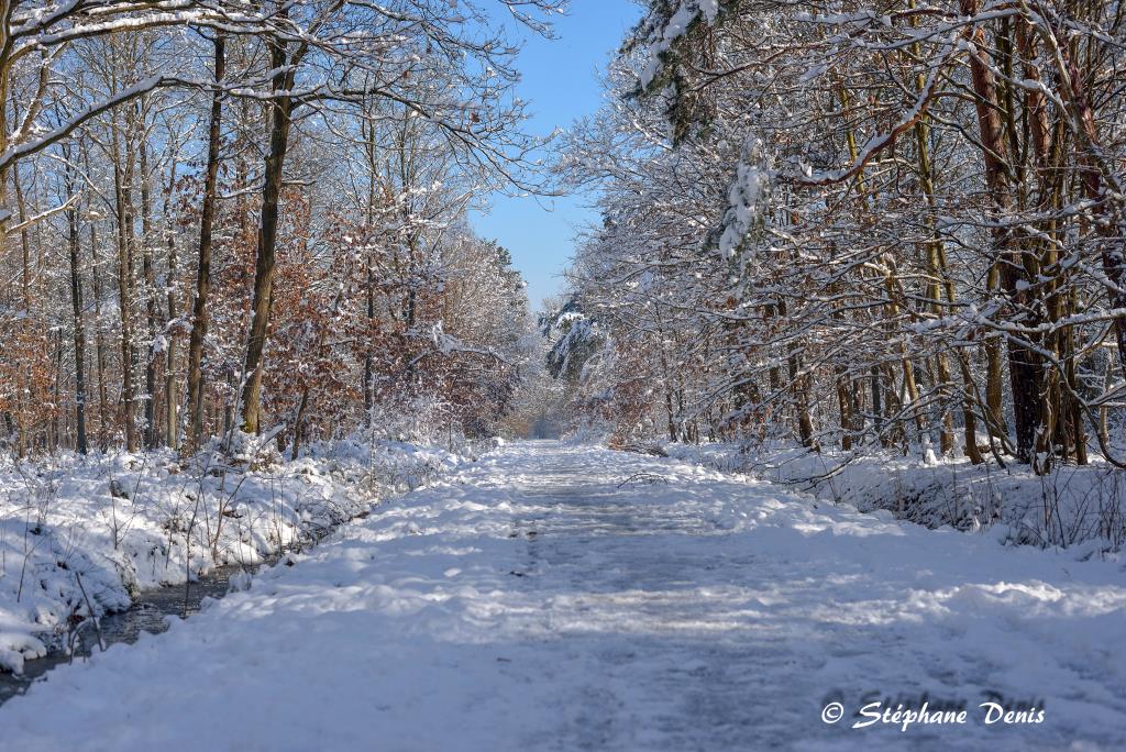 Neige