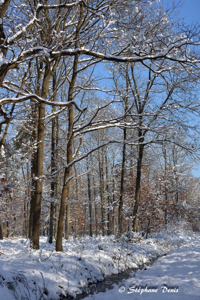 Neige