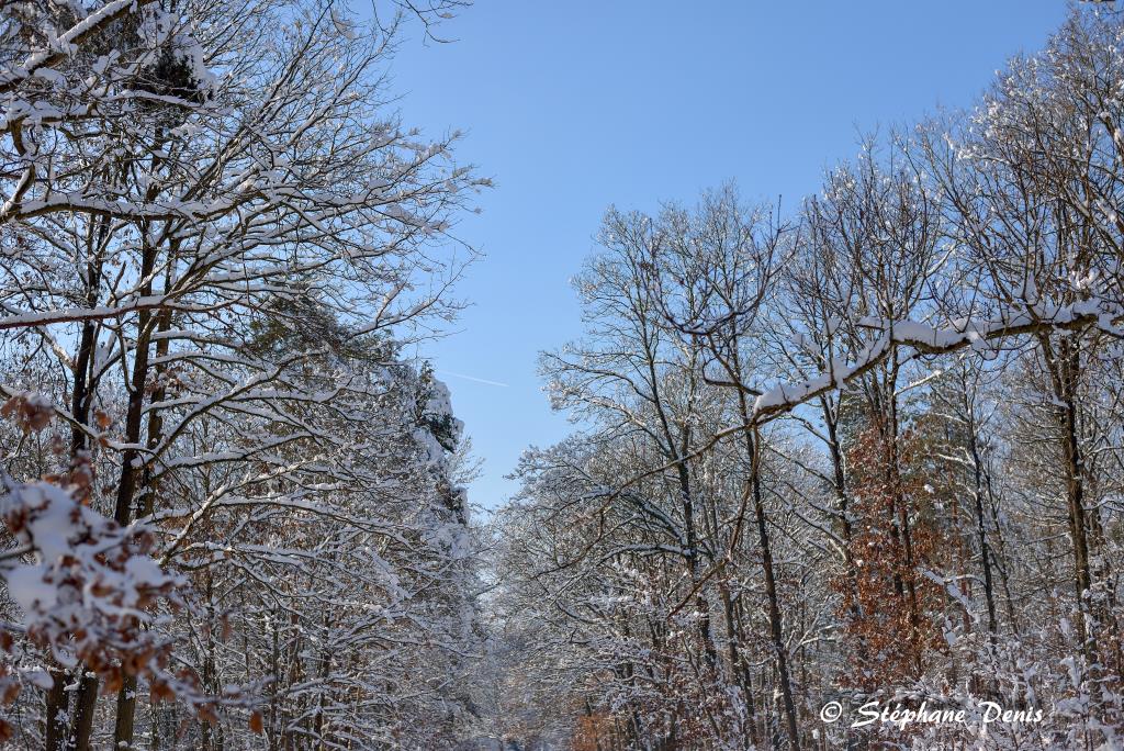 Neige