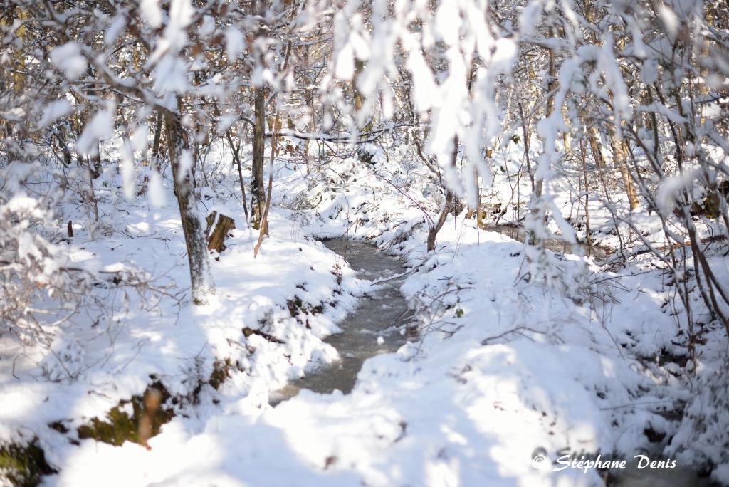 Neige