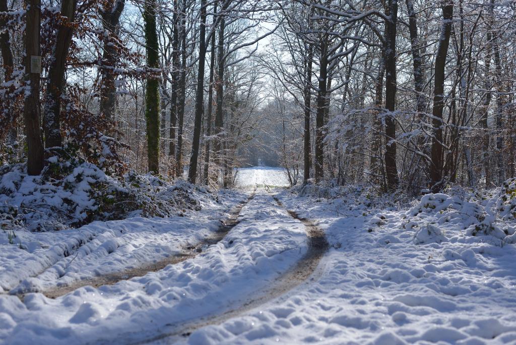 Neige