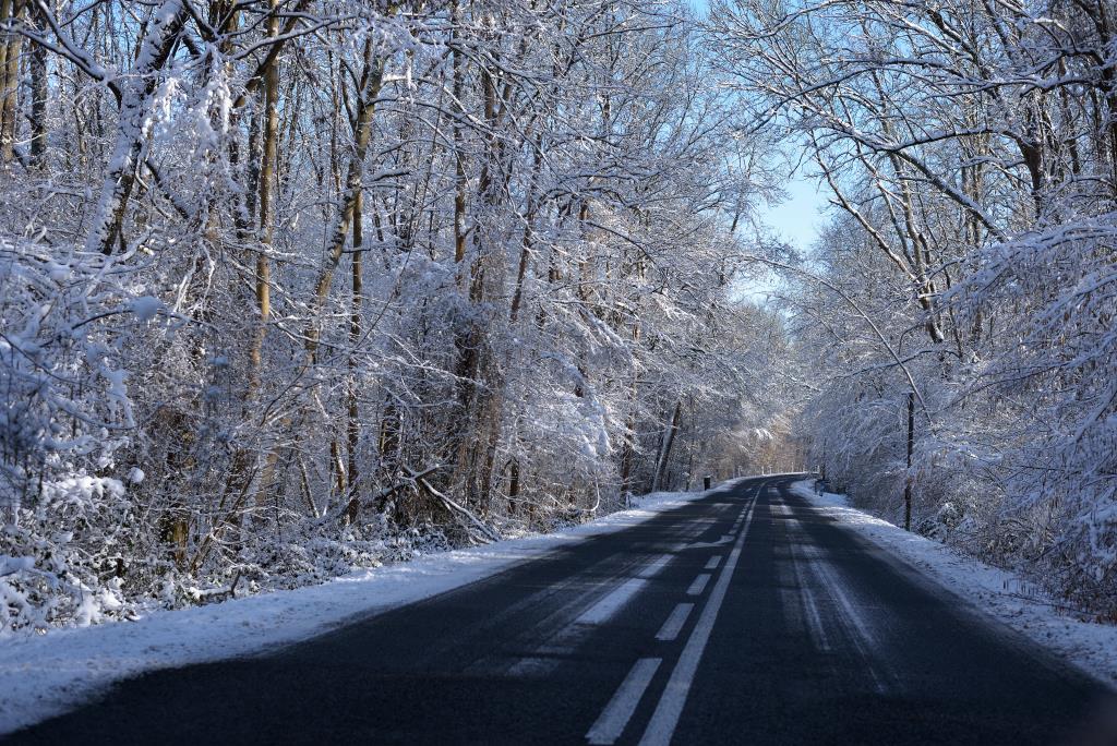 Neige