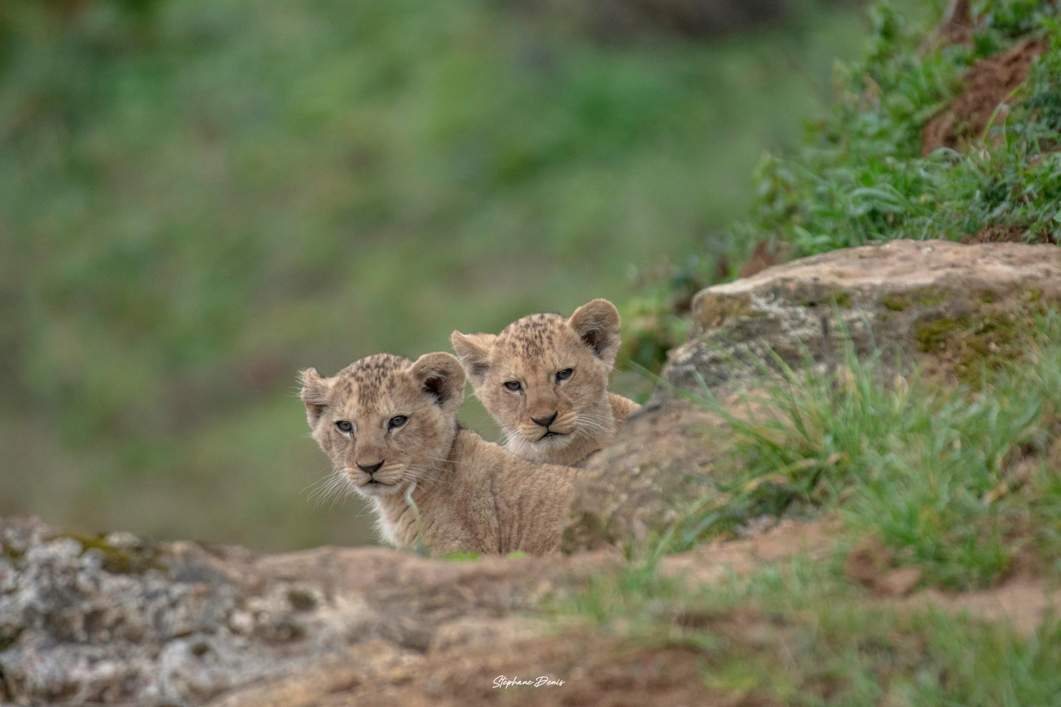 Bembea & Nguvu