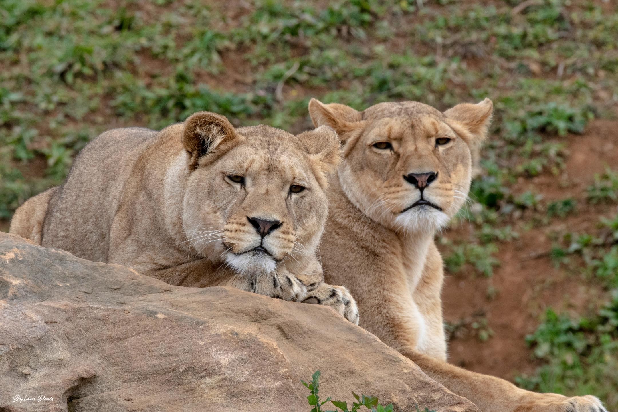 Nzuri & Esma